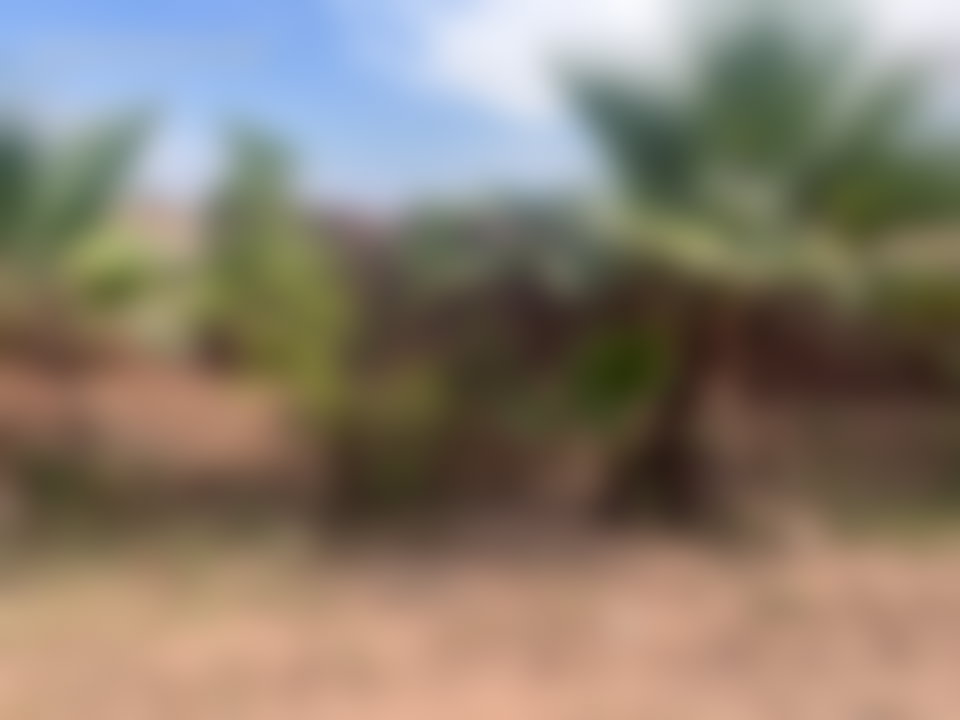 أرض شاسعة مطلّة على الأطلس بطريق تحناوت, مراكش