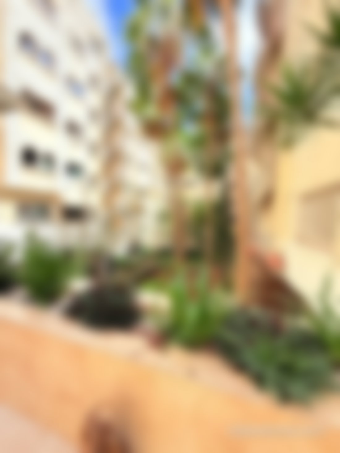 Appartement 206 m² avec terrasse arborée, Maarif, Casablanca