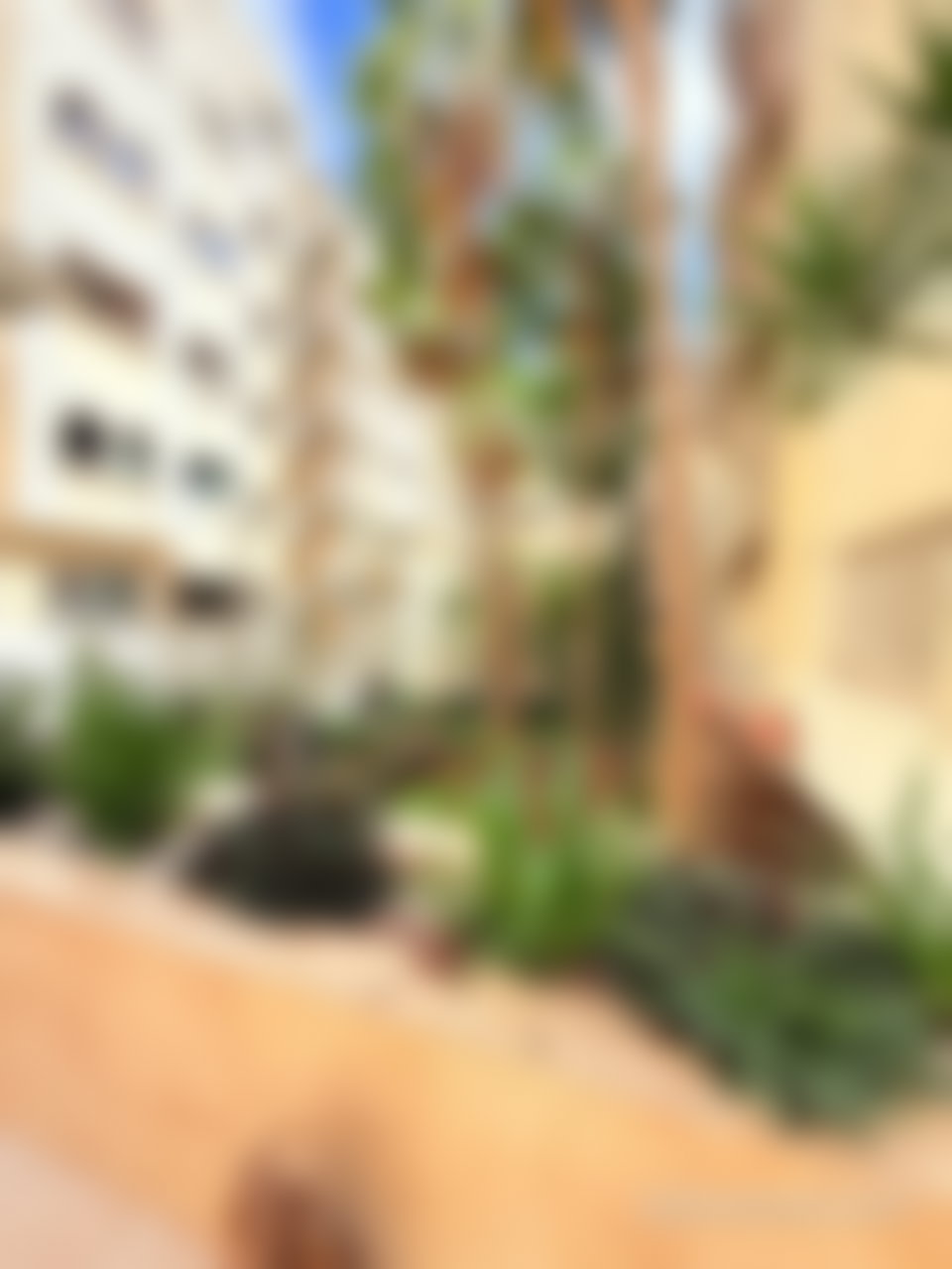 Appartement 206 m² avec terrasse arborée, Maarif, Casablanca