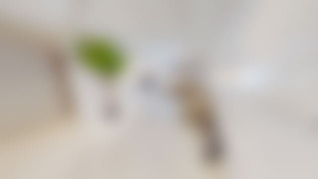 Furnished Apartment with a View in Moujahidine, Tangier — Tangier
