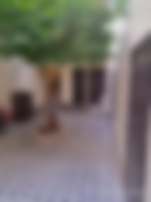Riad 146 m² à vendre, Arset Ihiri, Marrakech — 3