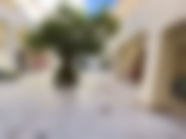 منزل تقليدي فسيح للبيع بباب غمات مراكش — مراكش