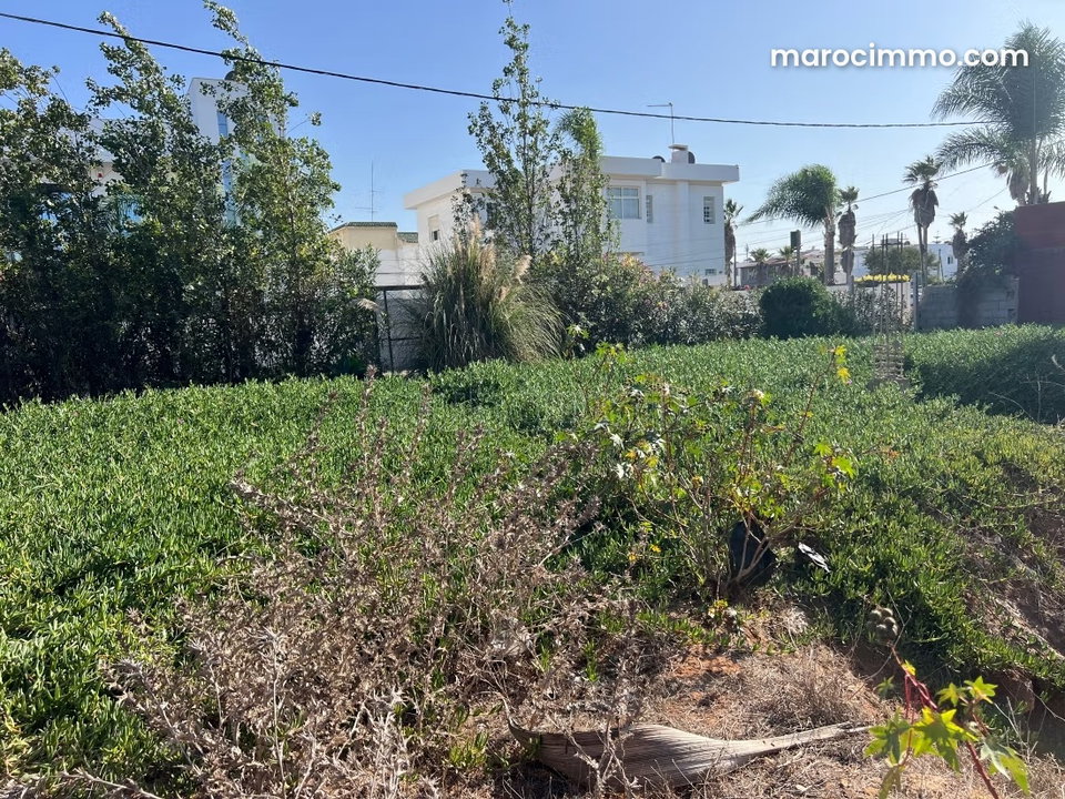 Land for sale in Harhoura. Total area 324 m²