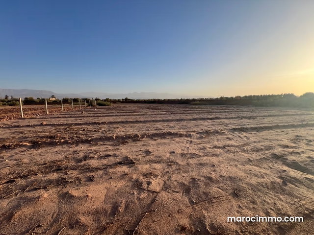 Vente de terrain à sidi Abdellah ghiate Surface de 2000 m² — 5