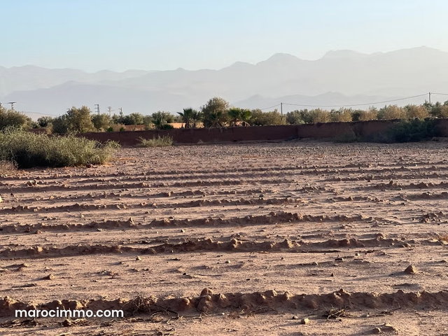 Vente de terrain à sidi Abdellah ghiate Surface de 2000 m² — 3