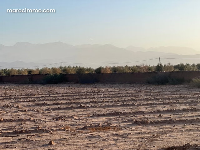 Vente de terrain à sidi Abdellah ghiate Surface de 2000 m² — 4