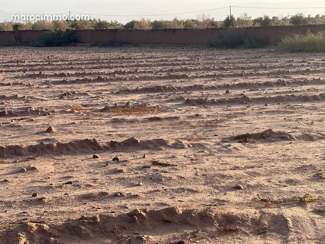 Vente de terrain à sidi Abdellah ghiate Surface de 2000 m² — 2