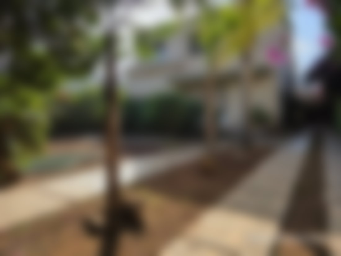 500 m² Villa on a 741 m² Plot to Renovate, Polo, Casablanca