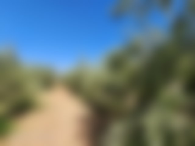 أرض استثمارية واسعة للبيع بطريق تحناوت في مراكش — 3