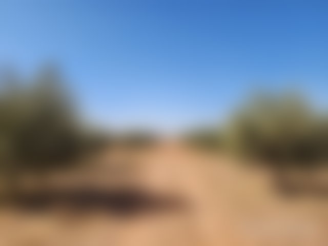 أرض استثمارية واسعة للبيع بطريق تحناوت في مراكش — 2