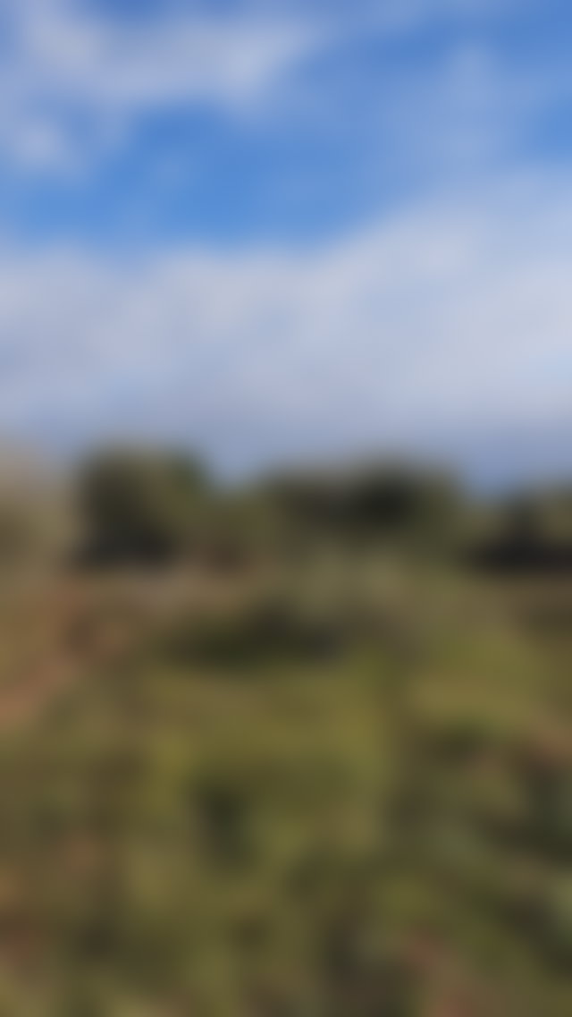 أرض واسعة للبيع في سيدي عبد الله غيات — 3
