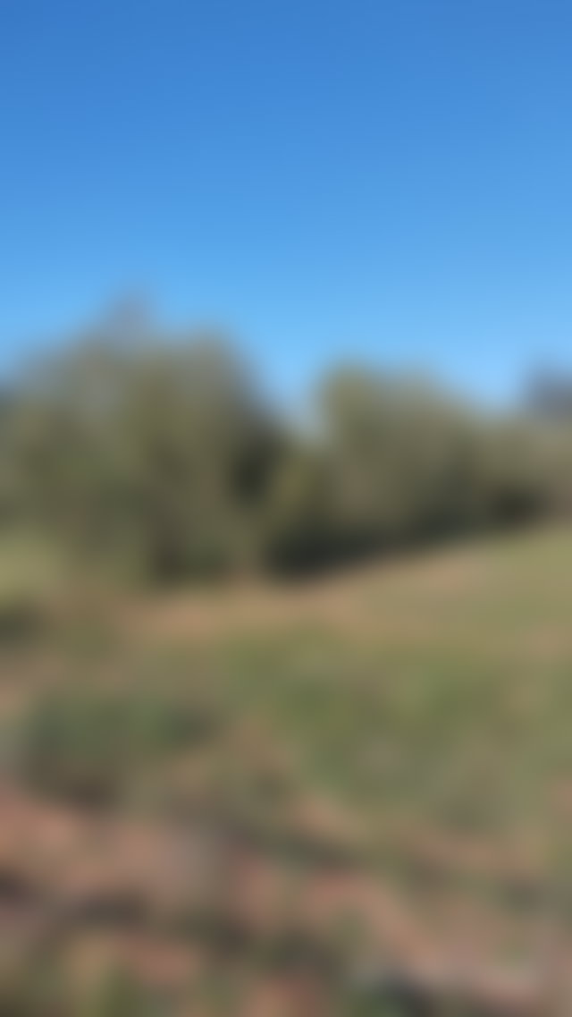 أرض واسعة للبيع في سيدي عبد الله غيات — 2