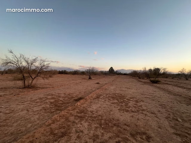 Vente terrain à Sidi Abdallah Ghiat. Superficie 30000 m² — 5