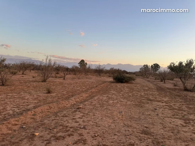 Vente terrain à Sidi Abdallah Ghiat. Superficie 30000 m² — 4