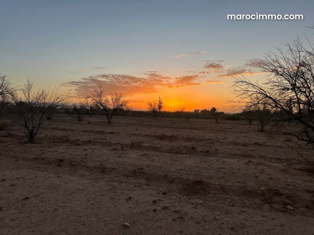 Terrain 3 hectares à vendre à Sidi Abdallah Ghiat — Sidi Abdallah Ghiat