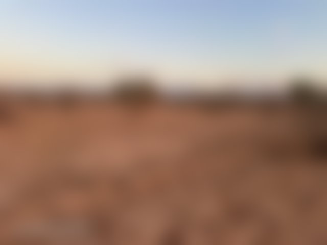 فرصة نادرة لاقتناء أرض 3 هكتارات بسيدي عبد الله غيّات — 2