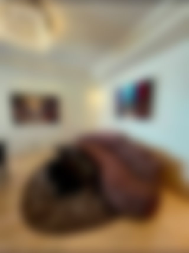 Upscale Furnished Apartment in Racine, Casablanca — 3