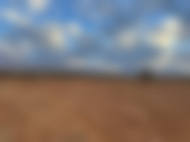 فرصة استثمارية أرض 12000 م² بتمزوغت — 3