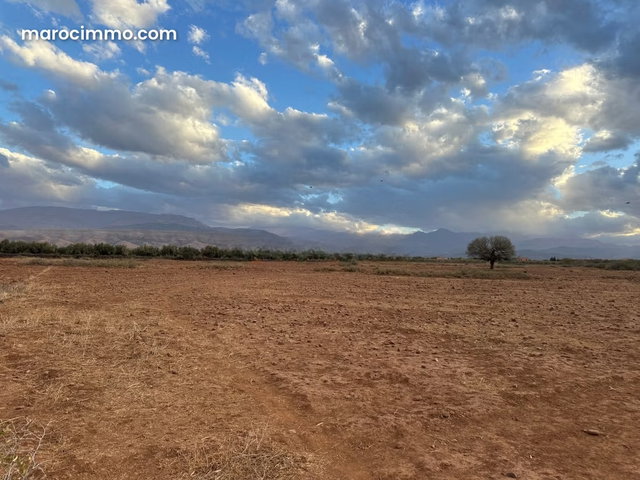 Vente terrain à Tamazouzte. Surface de 12000 m² — 3