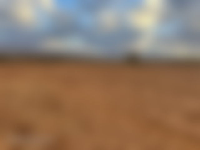 فرصة استثمارية أرض 12000 م² بتمزوغت — 5
