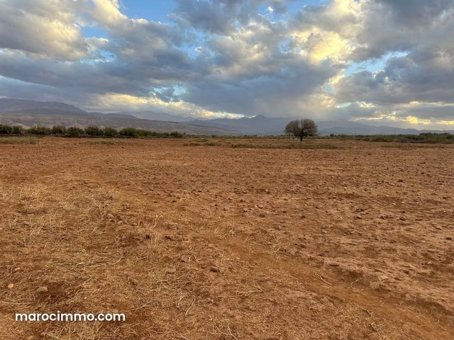 Vente terrain à Tamazouzte. Surface de 12000 m² — 5