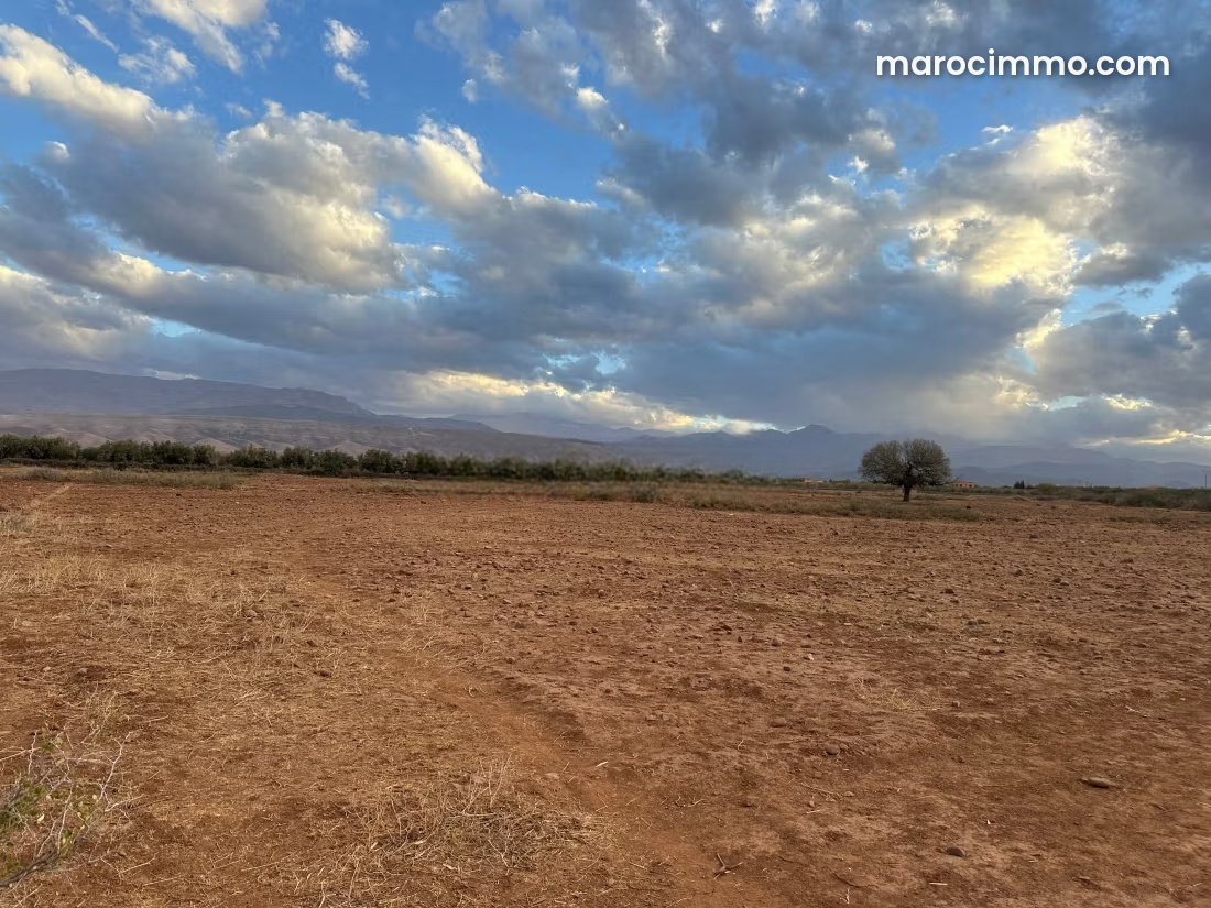 12,000 m² Plot of Land for Sale in Tamazouzte — Tamazouzte