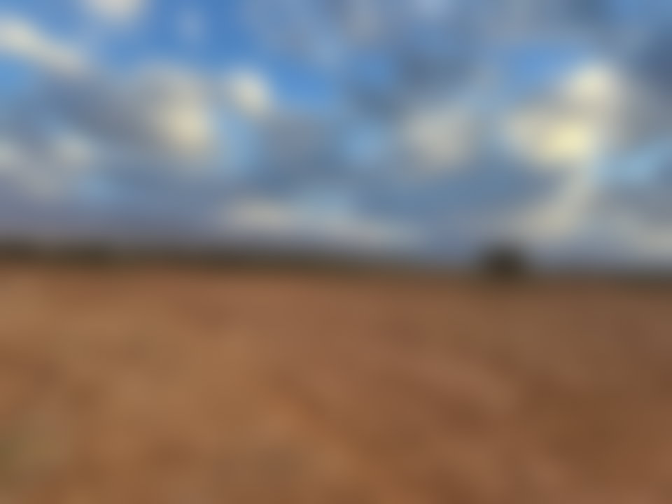 فرصة استثمارية أرض 12000 م² بتمزوغت