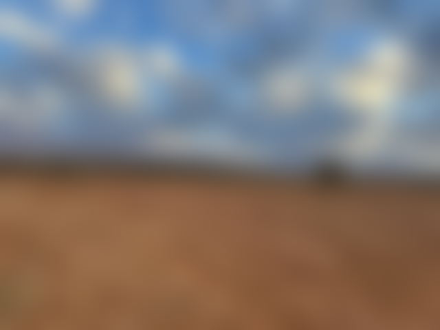 12,000 m² Plot of Land for Sale in Tamazouzte — Tamazouzte