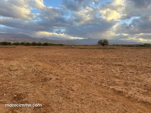 Vente terrain à Tamazouzte. Surface de 12000 m² — 4
