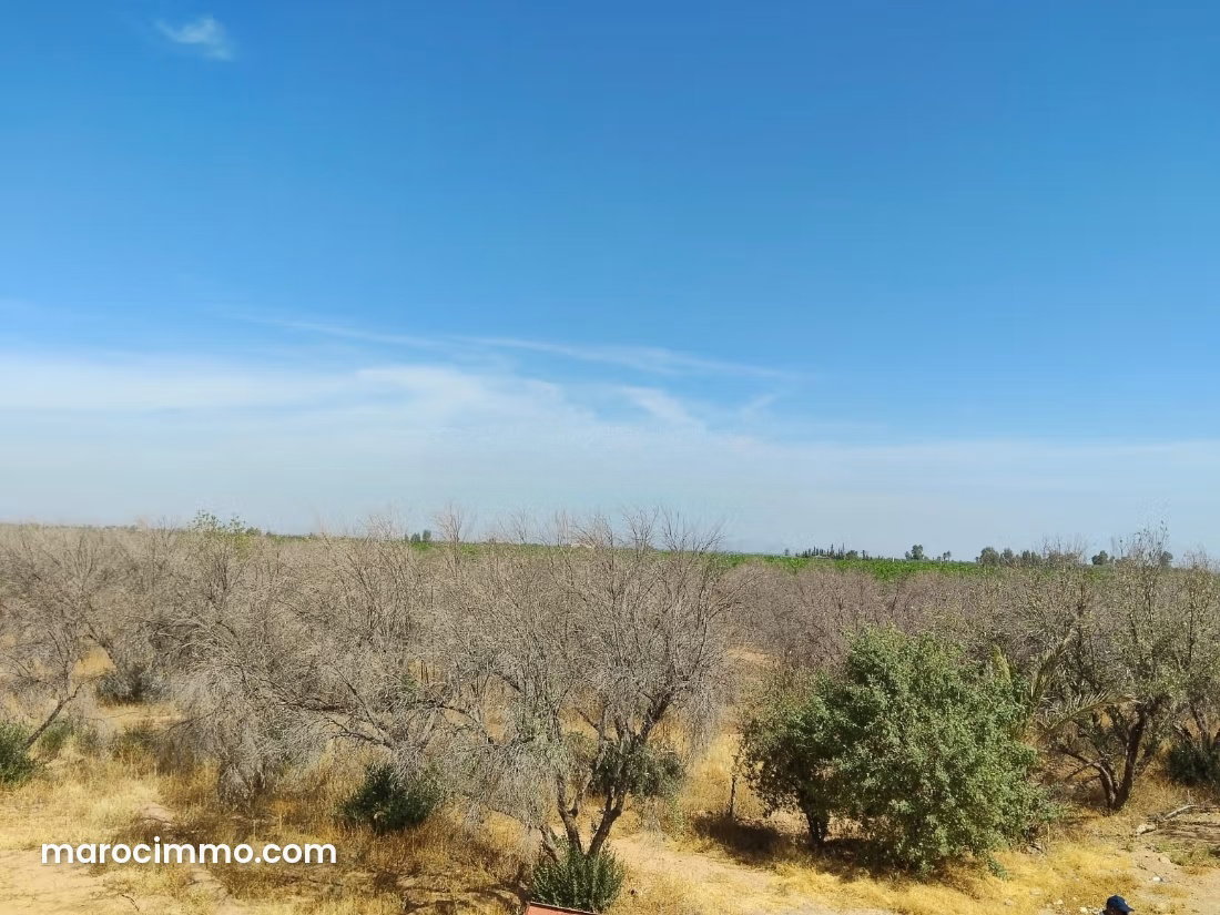 Ferme 4,6 ha avec oliviers et eau, Sidi Abdellah Ghiat Marrakech — Marrakech