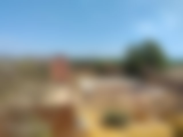 4.6 ha Farm with Olive Trees and Water, Sidi Abdellah Ghiat, Marrakech — 2