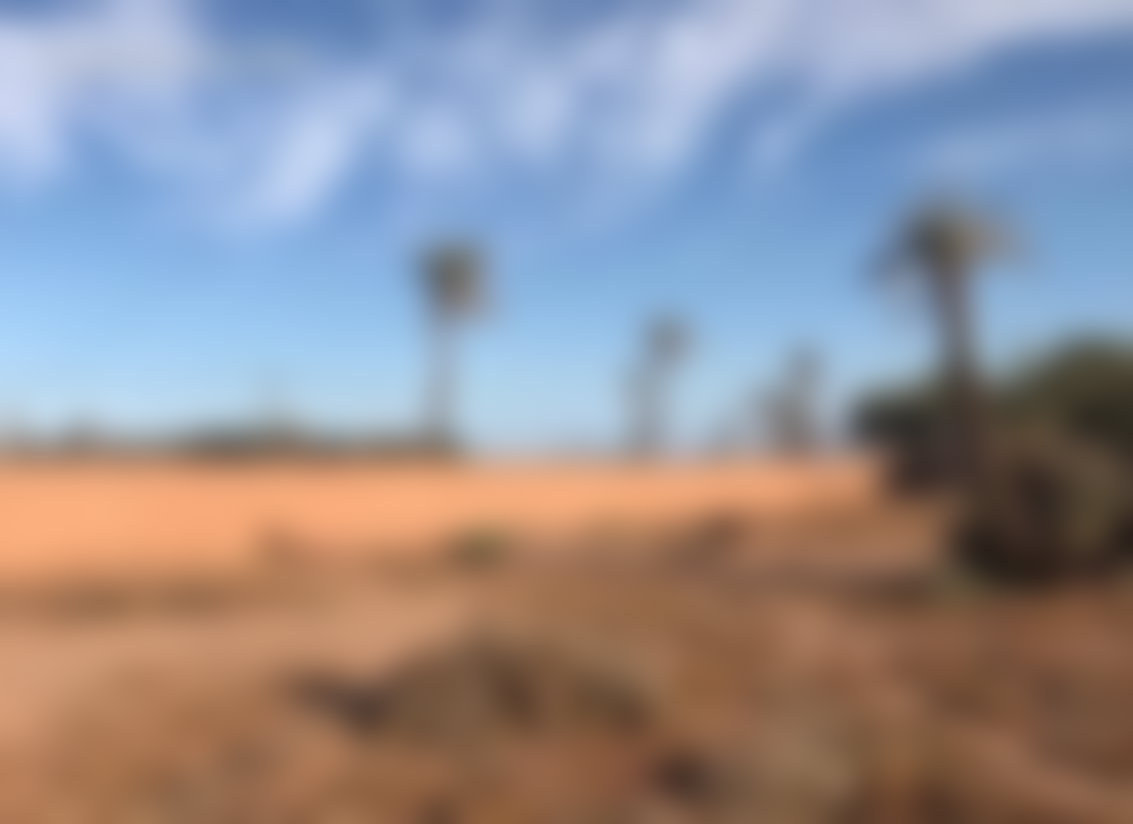 أرض سكنية 600 م² بإطلالة مفتوحة على طريق أوريكة مراكش