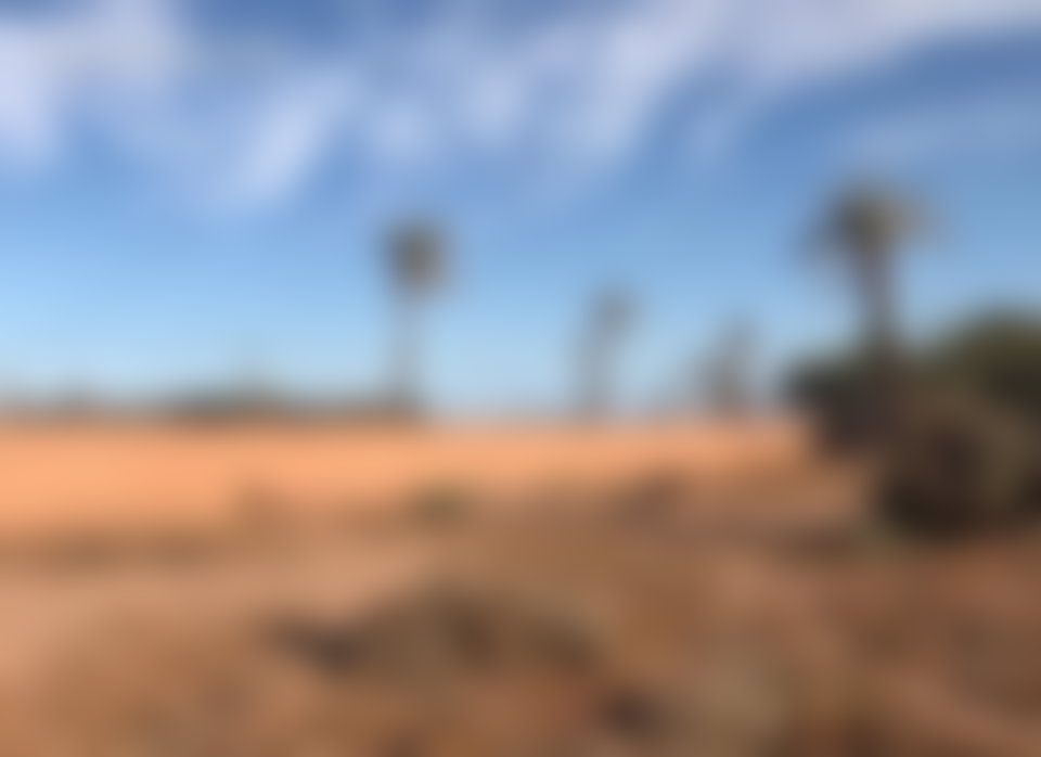 أرض سكنية 600 م² بإطلالة مفتوحة على طريق أوريكة مراكش