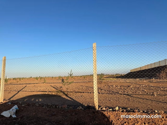 Vente terrain à route du. Orika. Surface de 10500 m² — 5