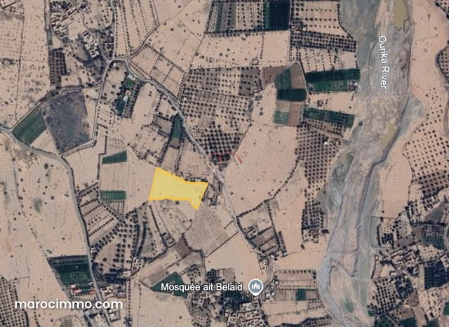 Vente Terrain nu à sidi abdellah ghiat — 2