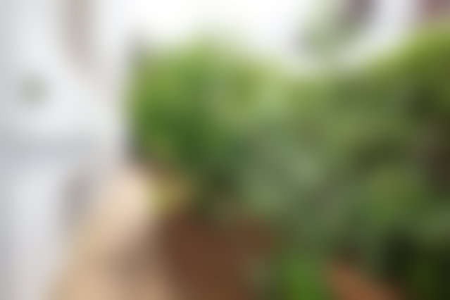 Villa 435 m² à rénover, Longchamps, Casablanca, plein sud — 2