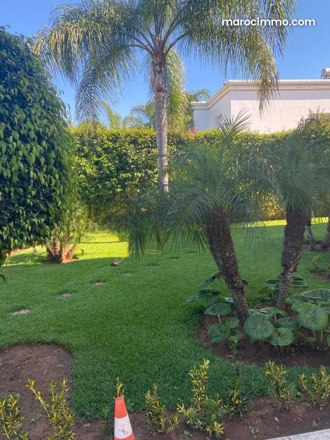 Terrain 4080 m² à vendre à Souissi Rabat — Rabat