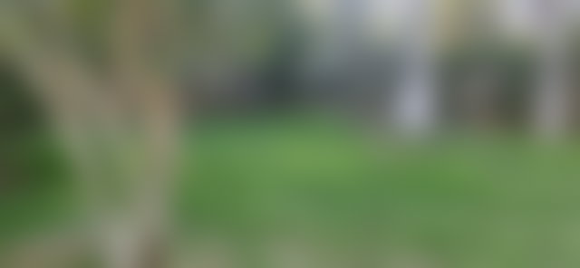 فيلا فاخرة للكراء بحي السويسي في الرباط — 4