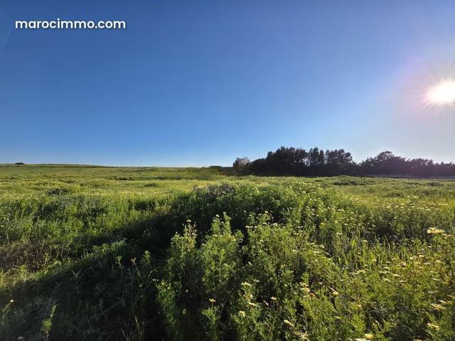 Terrain Jbilat à vendre — Tanger