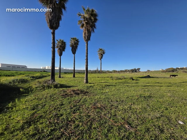 Terrain Jbilat à vendre — 4