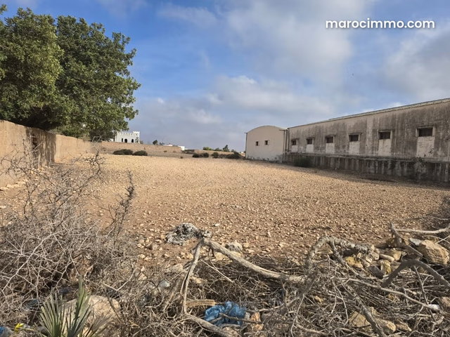 Terrain titré D2 – 3000 m², lots de villas — 5