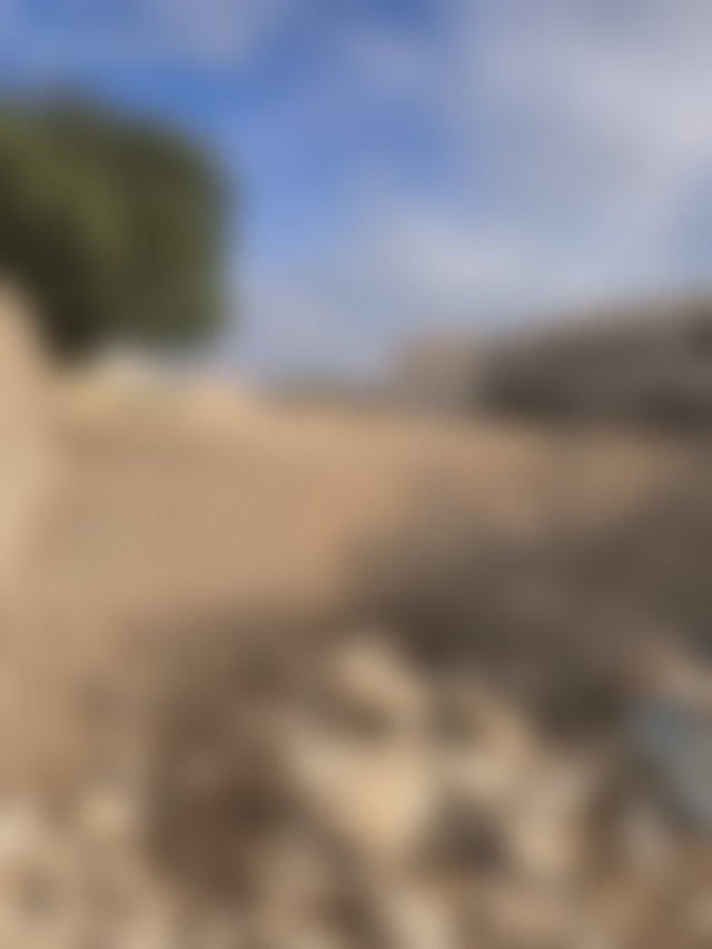 أرض فسيحة لبناء فيلات في دوار العرب بالصويرة — 4