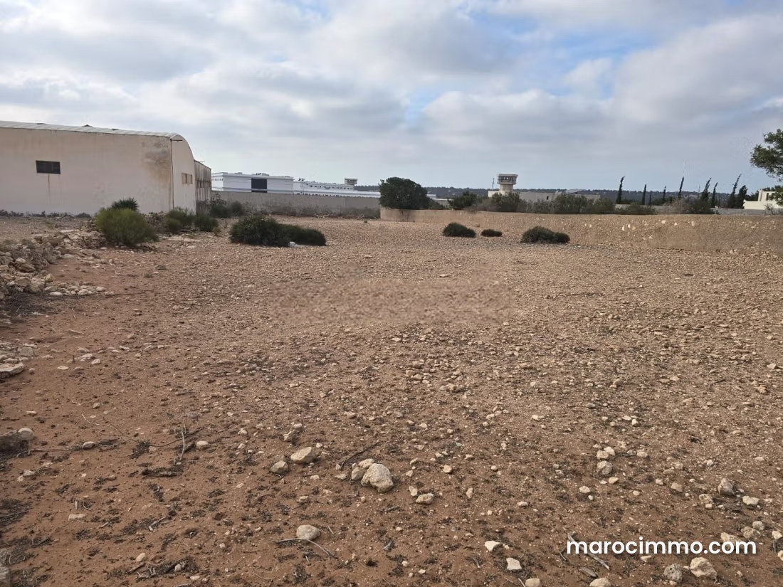 أرض فسيحة لبناء فيلات في دوار العرب بالصويرة — الصويرة