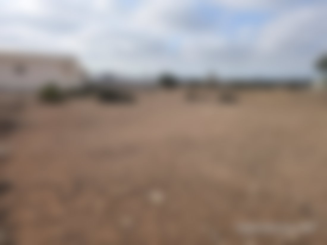 أرض فسيحة لبناء فيلات في دوار العرب بالصويرة