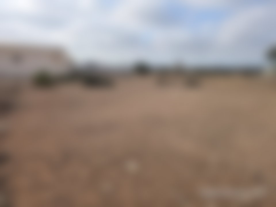 أرض فسيحة لبناء فيلات في دوار العرب بالصويرة