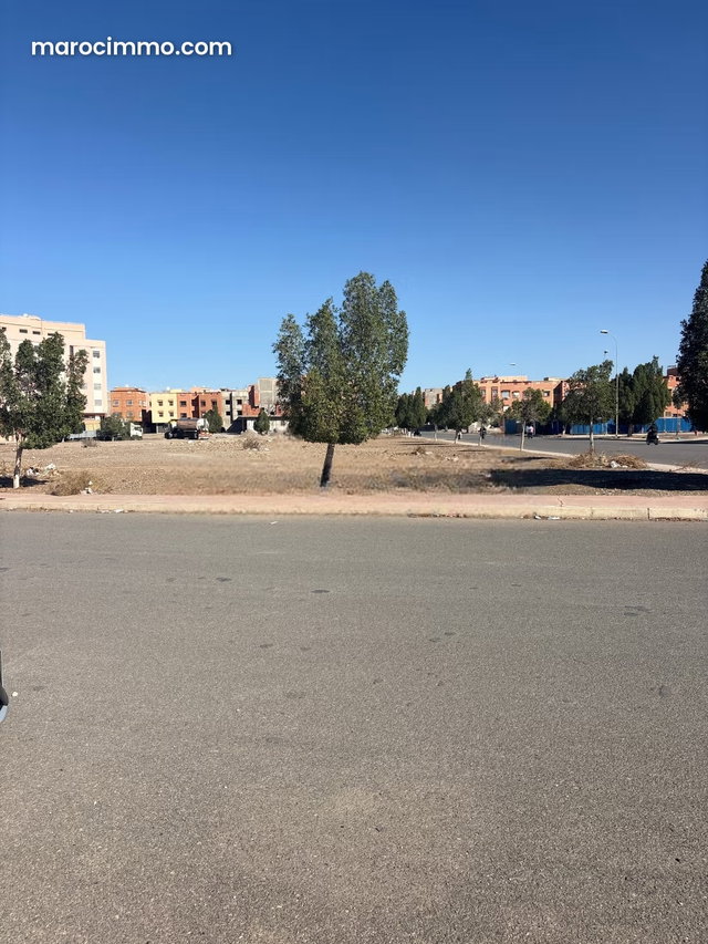 Vente terrain à Route de Safi. Superficie 1459 m² — 3