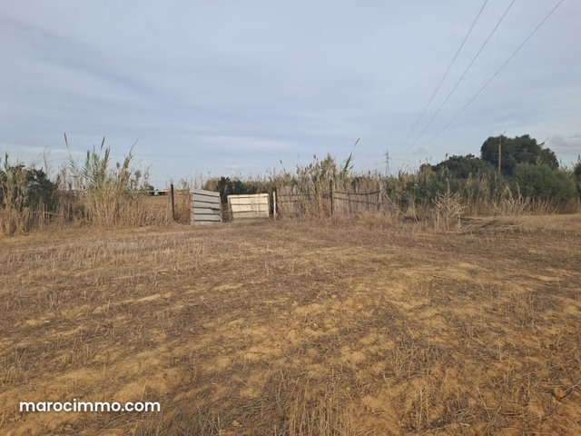 Terain à vendre à mediaq v — 4