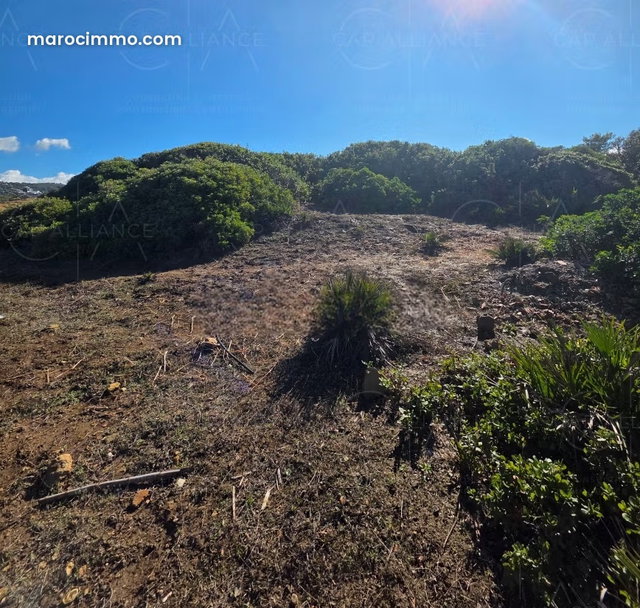 Terrain en vente à Achakar. Surface totale 699 m² — 2