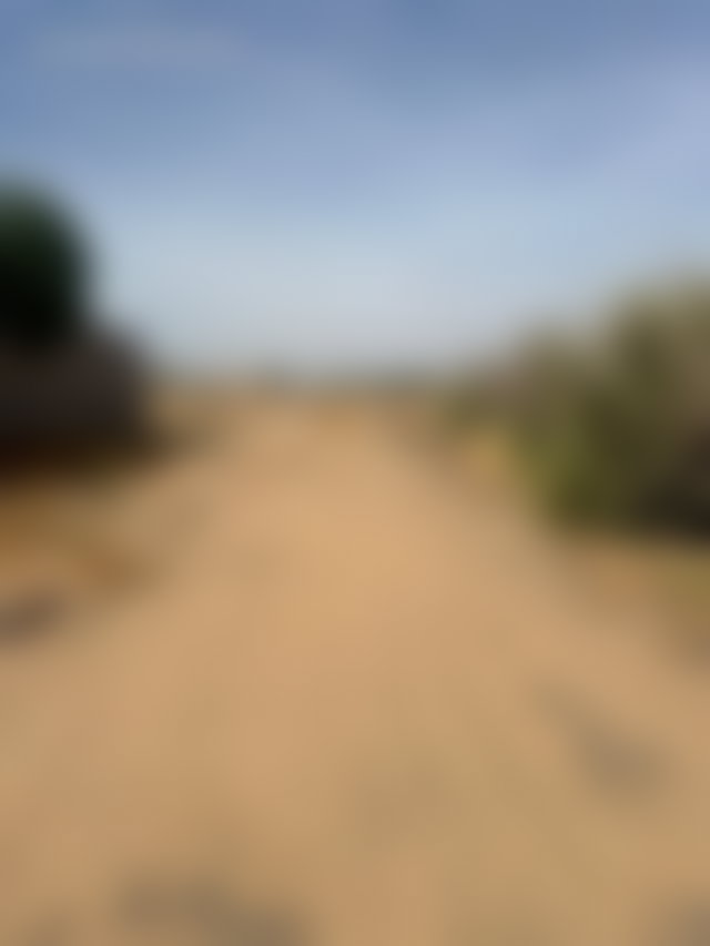 Terrain 3200 m² viabilisé, Route de Ouarzazate, Marrakech — 2