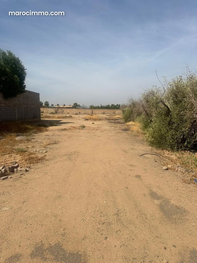 Vente terrain 3200 m2 rte de Ouarzazate MARRAKECH — 2